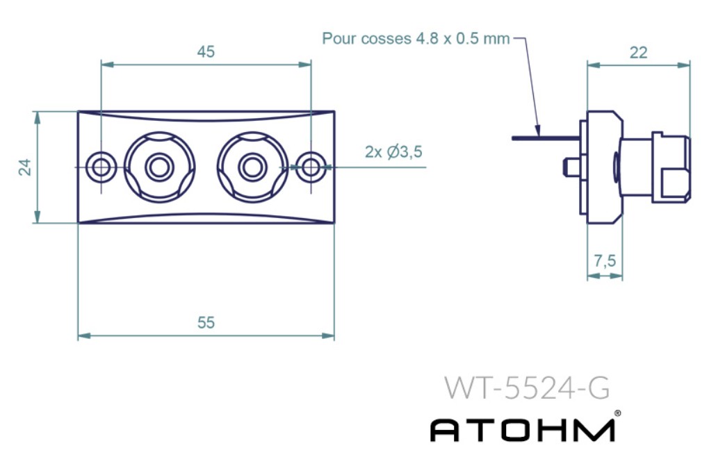 Atohm WT-5524-AG Bornier Encastré pour Enceintes, Plaqué Or